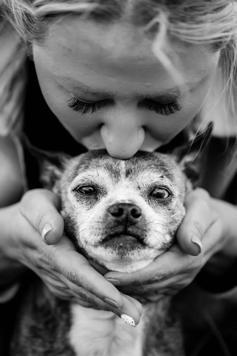 A woman kisses the top of an old, grey-faced chihuahua's head, black and white